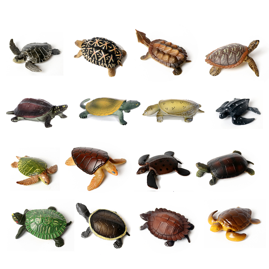Aquarium Marine Fishes - Реалистичные миниатюры, морская жизнь, фотообои для