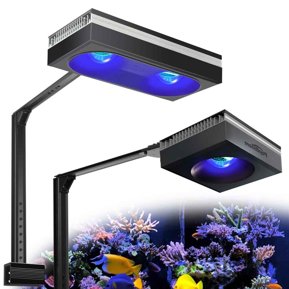 PopBloom RL90/RL180, Wi-Fi лам – обзор и цена Marine X Aquarium