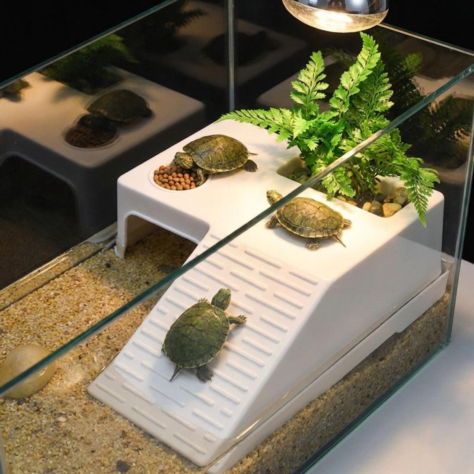 Платформа для отдыха и загара  – обзор и цена Aquarium Innovative Marine