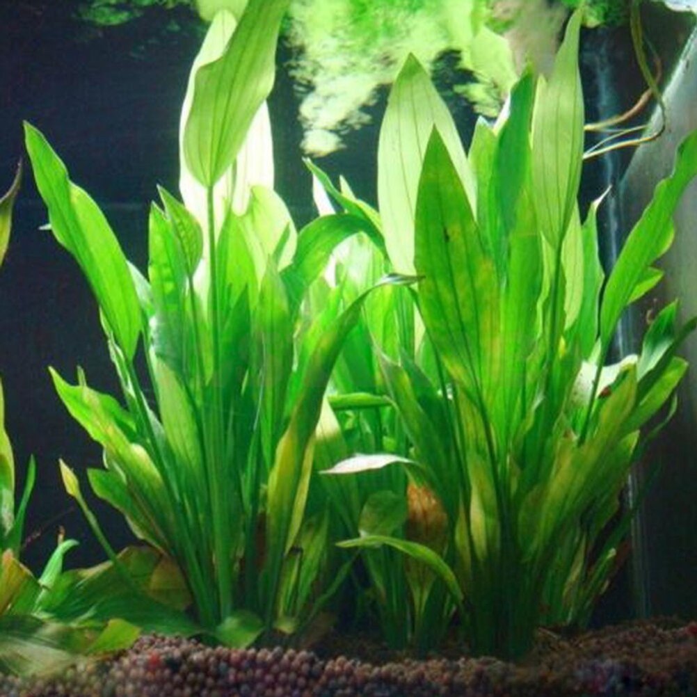 15 см искусственный декор для  – обзор и цена Aquarium Innovative Marine