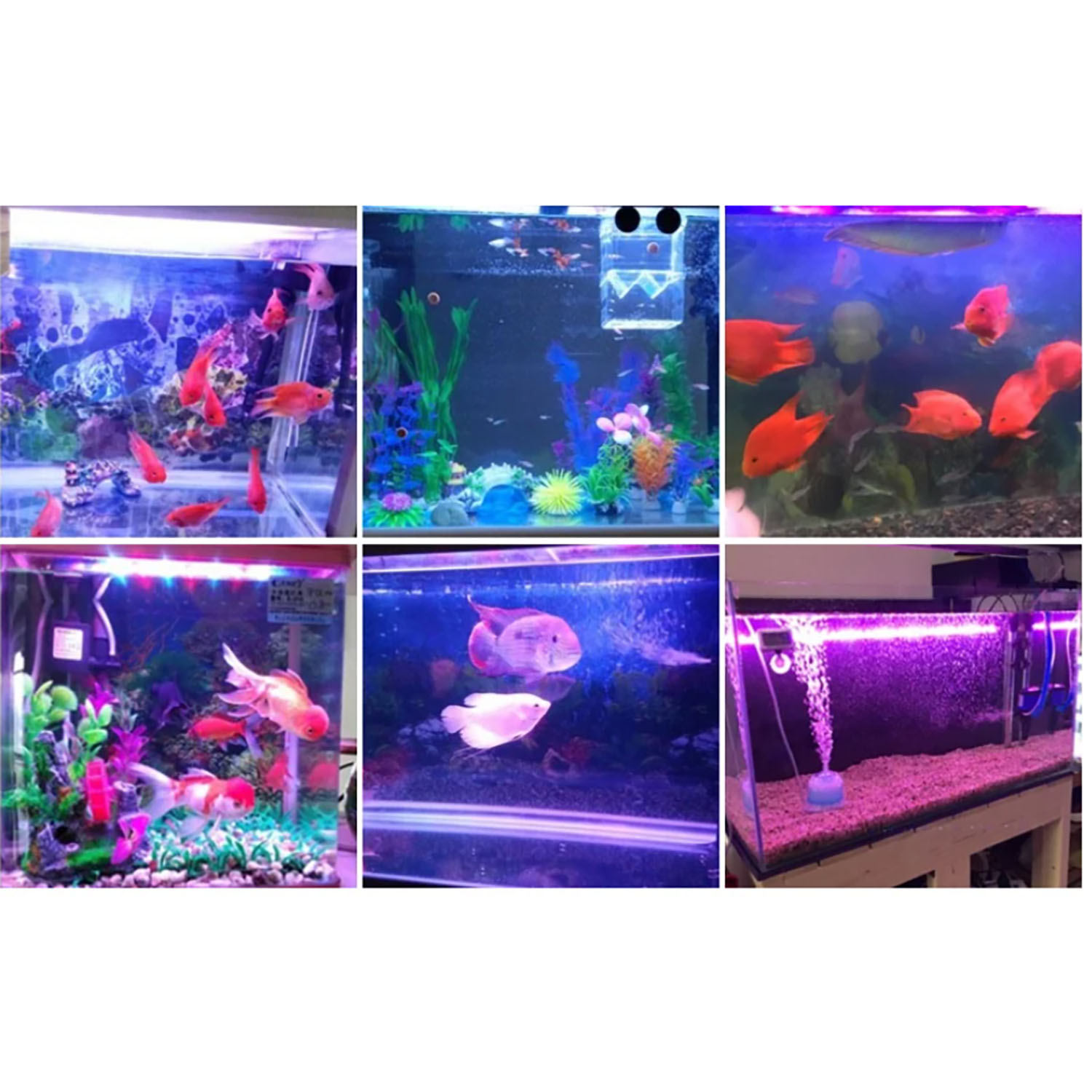 Светодиодное освещение для акв – обзор и цена Marine Aquarium Uv Light