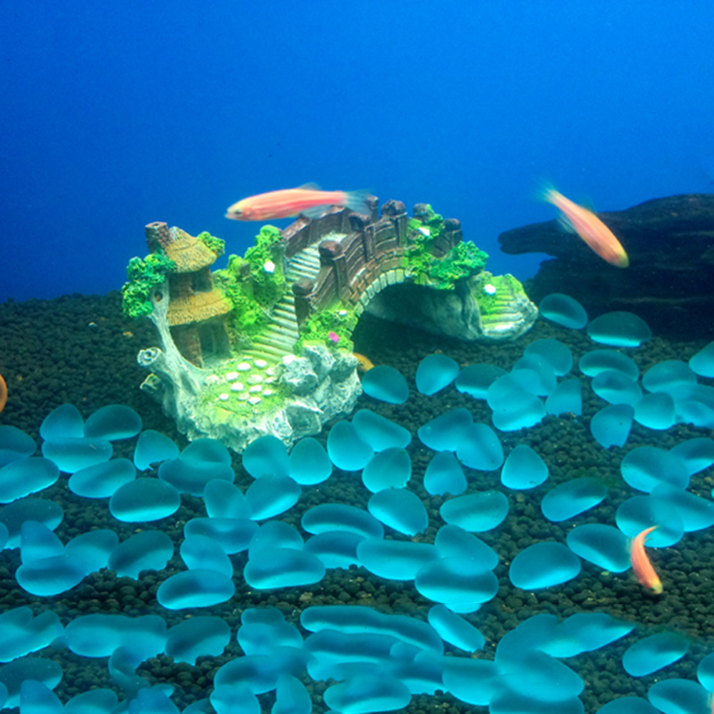 Аксессуары для аквариума, бесе – обзор и цена Aquarium Innovative Marine